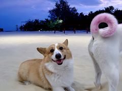 -石梅湾艾美度假酒店