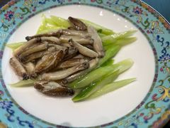 -新光酒家·河豚·海鲜·蟹料理(浦东店)