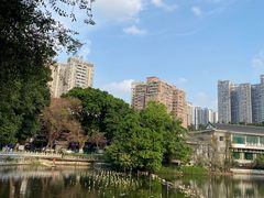 -荔湾湖公园