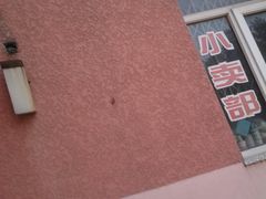 -康庄公园
