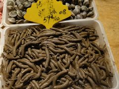 -驻海渔市(置信店)