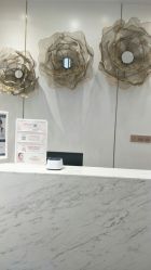 -YESIDO椰岛造型