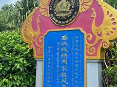 -中国科学院西双版纳热带植物园