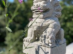-同里国家湿地公园