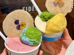 -FIDEE CHOCOLATE 花地