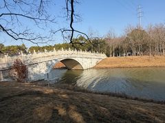 -上海海湾国家森林公园