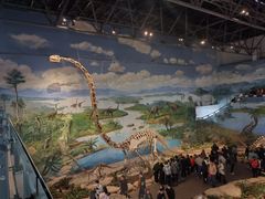 -自贡恐龙博物馆