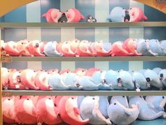 -海合安青岛极地海洋公园