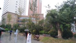 -河南中医药大学第一附属医院·皮肤美容