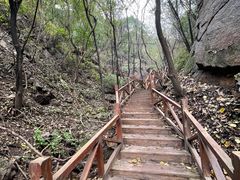 -大岭沟猕猴桃谷风景区