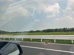 -沛县广电冷面(汉城中路店)