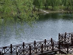 -长春公园(普阳街道)