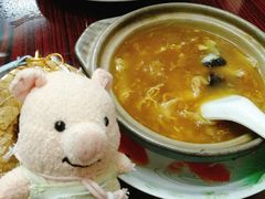 招牌花胶大只翅-添發碗仔翅美食