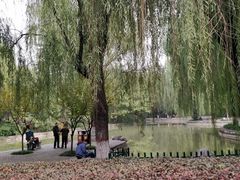 -西安市长乐公园