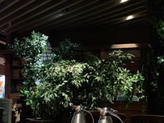 -前海沿·青岛菜(大拇指广场石老人店)