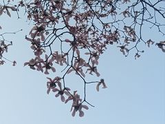 -宜家家居(高新商场店)