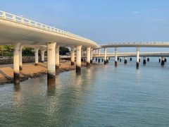 -演武大桥观景平台