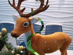 -金砾教育培训(宝山校区)