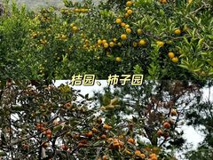 -南北湖风景区