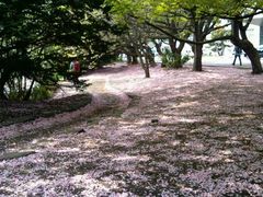 android_upload_pic-北海道厅旧本厅舍(旧本庁舎)