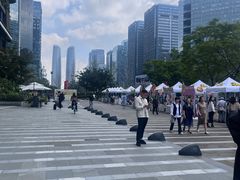 -合景·悠方(成都店)