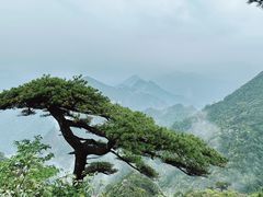 -三清山风景名胜区