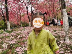 -昆明动物园