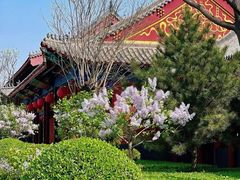 -天津市峰山药王古寺