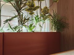 -杨氏青龙虾·羊蝎子(珠江路店)