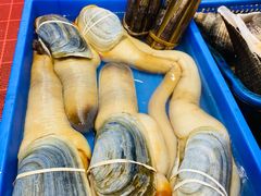 -吴记富苑(朝阳店)