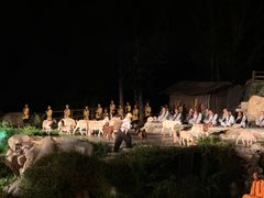 -禅宗少林·音乐大典