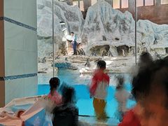 -帝企鹅自助餐厅•儿童岛•真企鹅(长隆企鹅酒店)