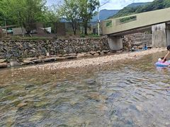 -北仑森林植物园