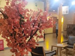 -胡杨记忆(和平路店)