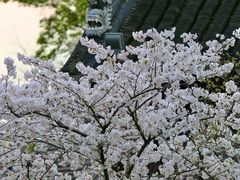 -寒山寺