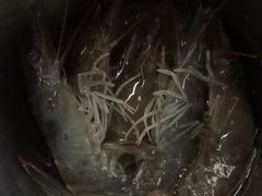 -四囍码头海鲜烧烤自助火锅(外滩南京东路悦荟广场店)