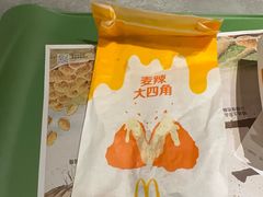 -麦当劳(祈年大街店)