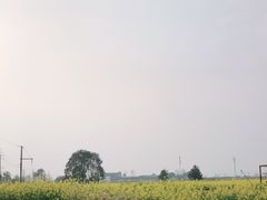 -桤木河湿地公园