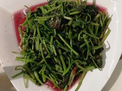 炒苋菜-华盛丰温州大排档(东三环南路店)