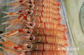 Wild Lobster