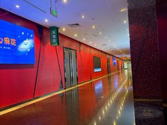 -飞扬影城(正佳IMAX店)