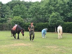 -合肥三国新城遗址公园