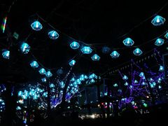 -淄博花灯齐彩城