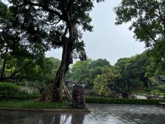 -柳侯公园