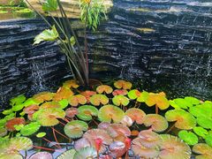 -国家植物园南园