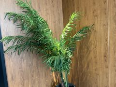-新紫霞养生·影院足道·SPA(金山区店)