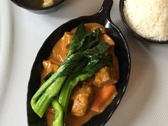 -雨林餐厅(长隆海洋王国店)