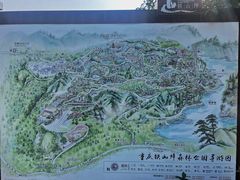 -铁山坪森林公园