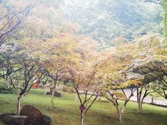 -岳麓山风景名胜区