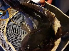 -同乐酒楼(皇后镇店)